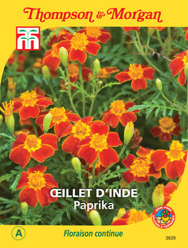sachet de semence
