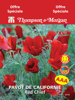 sachet de semence