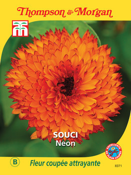 sachet de semence