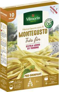 Graines de haricot Grimpant Beurre Monte Gusto en
