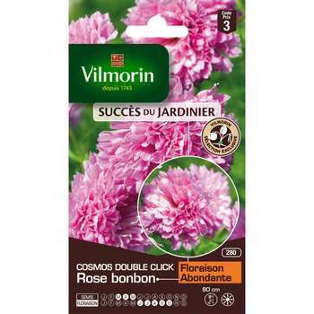 Cosmos Double Click Rose Bonbon 1 g