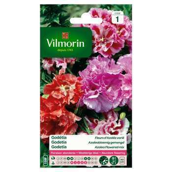 Vilmorin - Godetia DBL FL Azalée Mix