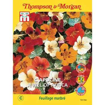 Graines de fleur: centauree classic fantastic 0. 8