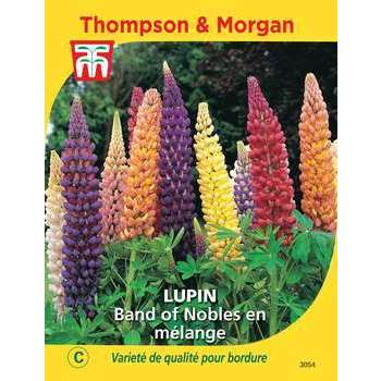 Lupin band of nobles en mél.