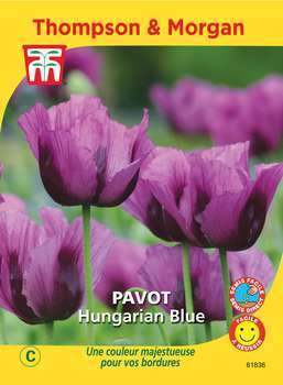 Graines de Pavot Hungarian Blue