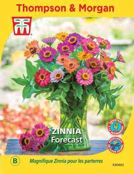 Zinnia Forecast