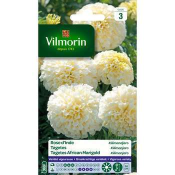 Rose dInde Kilimandjaro 0,2 g