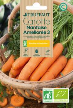 Carotte Nantaise Améliorée 3 BIO 2 g