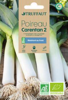 Graines de Poireau de Carentan BIO