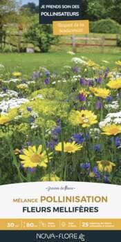 Melange Pollinisation 30M²