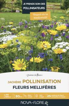 Jachere Pollinisation