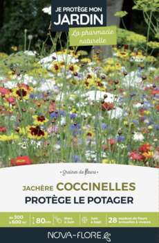 Prairies fleuries : j'attire les coccinelles 300 à