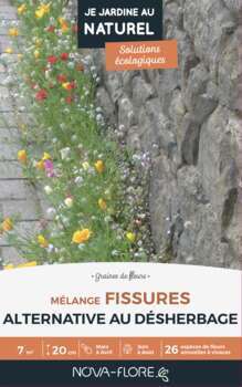 Mélange fissures : alternative au désherbage 7 m2