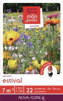 Tapis De Fleurs Estival 7M²