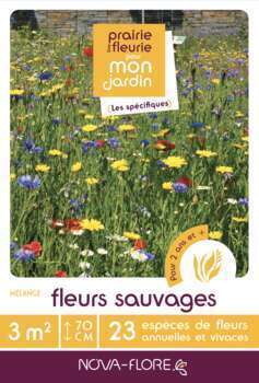 Mélange Fleurs Sauvages 3M²