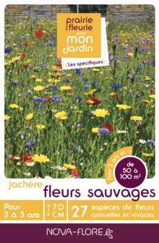 Mélange Jachere Fleurs Sauvages