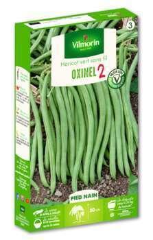 Haricot Nain Vert Oxinel 2 200 g