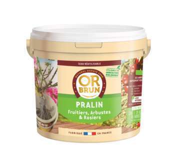 Stimulant racinaire au Pralin, seau de 2 KG