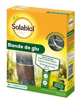 Bande de glu : 5 m