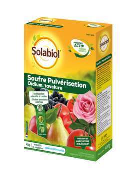 Soufre pulvérisation : étui 400 g