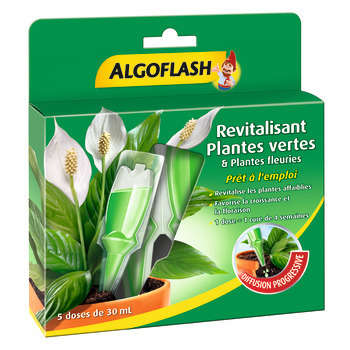 Monodose revitalisante plantes vertes