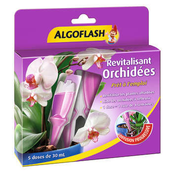 Monodose revitalisante orchidées 30 ml