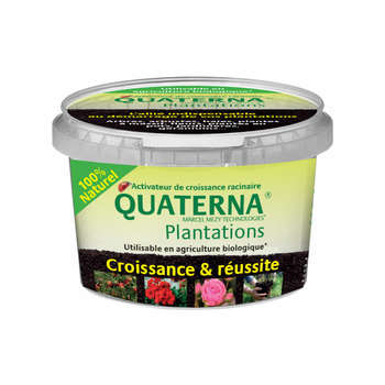 Quaterna Plantations : 100g