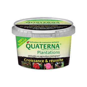 Quaterna Plantations, activateur de croissance rac