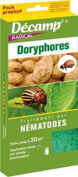 Traitement contre les larves de doryphores