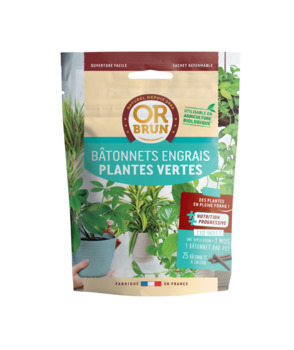 Engrais batonnets plantes vertes