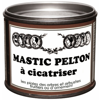 Mastic Pelton à cicatriser :195g