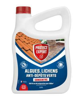 Dimaxx anti-algue/lichen/dépôt vert : 2,5l