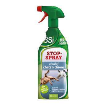 Stop Spray