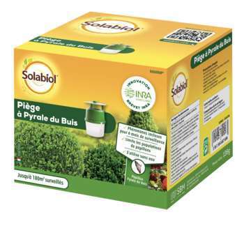 Piège à phéromone: Pyrale du buis