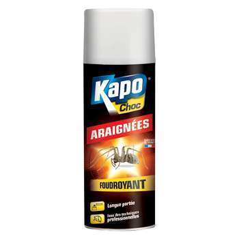 Aérosol foudroyant araignées 400ML