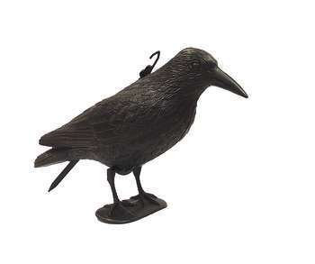 Corbeau effaroucheur oiseaux