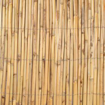 Canisse roseau fendu - 1x5m