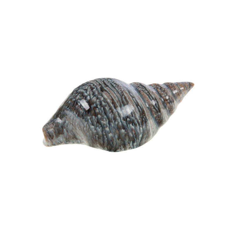 Coquillage émaillé en céramique, coloris gris - L.