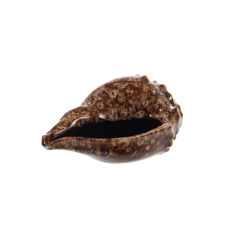 Coquillage émaillé en céramique, coloris marron -