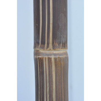 Tronçon de bambou naturel sec noir - D. 6xL200 cm