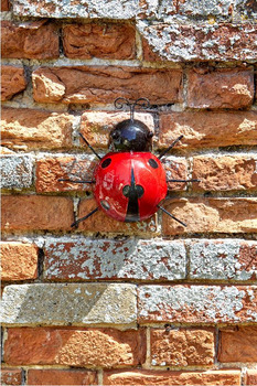 Coccinelle décorative d'extérieur M H.16,0 cm