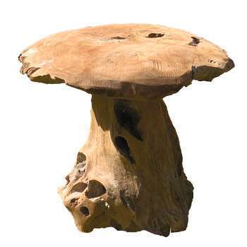 Champignon teck H. 30 x l. 25 cm