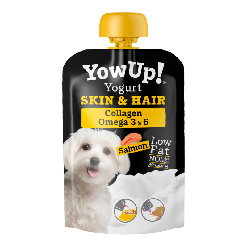 Yaourt pour chien au saumon, entretien de la peau
