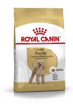 Croquettes chien Caniche Adulte poodle plus de 10