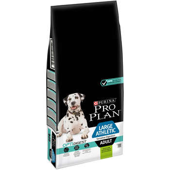 Croquettes chien adulte de grande taille digestion