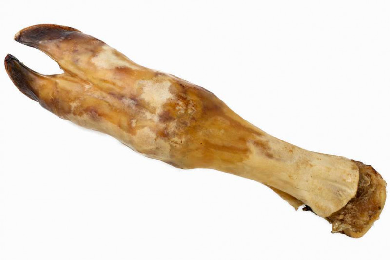 Pied de veau séché pour chien x1