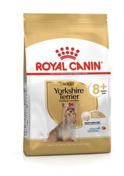 Yorkshire Terrier adulte 8+ans 3kg