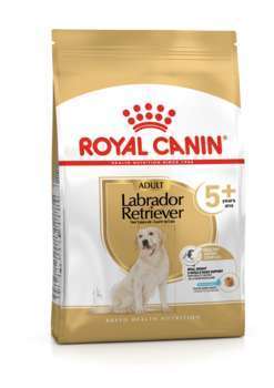 Croquettes chien Labrador Adulte de plus de 5 ans