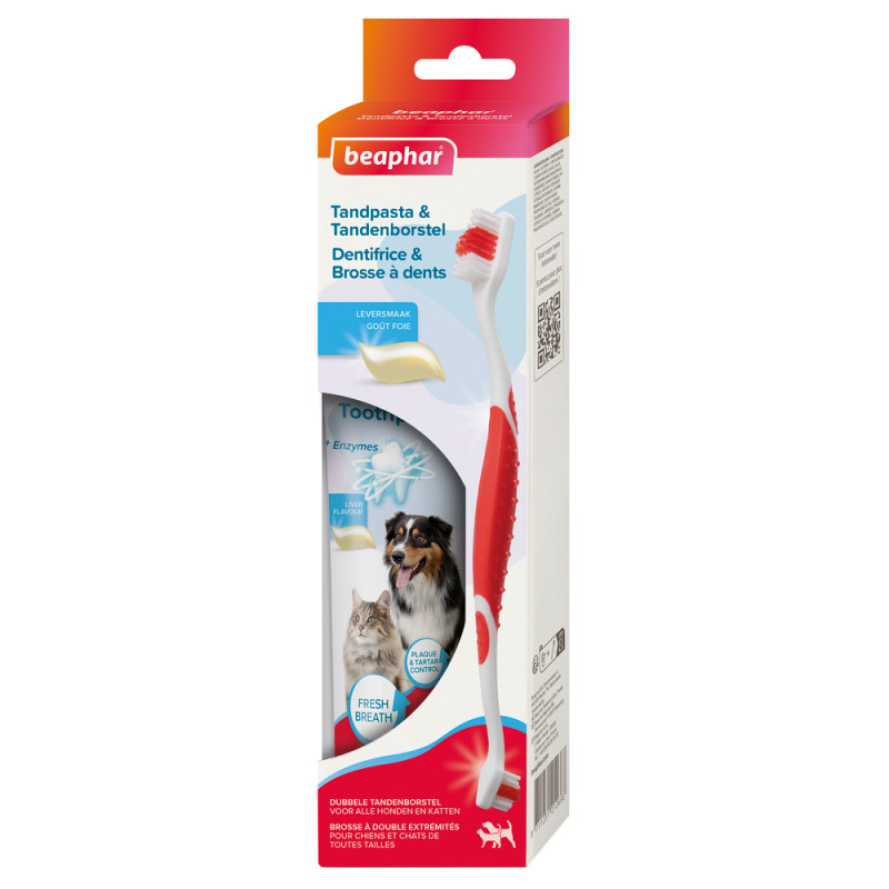 Kit brosse à dents et dentifrice pour chien et cha
