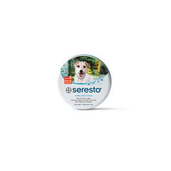 Collier Seresto petit chien